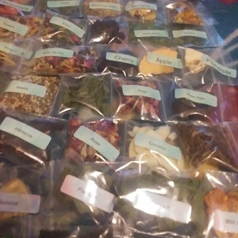 🦀 10 PIECE HERMIT CRAB FOOD BUNDLE 🦀